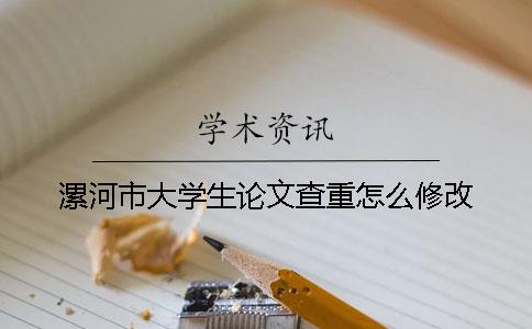 漯河市大學生論文查重怎么修改