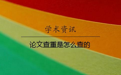 論文查重是怎么查的