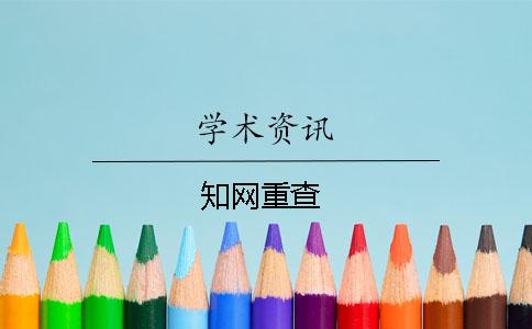 知網重查