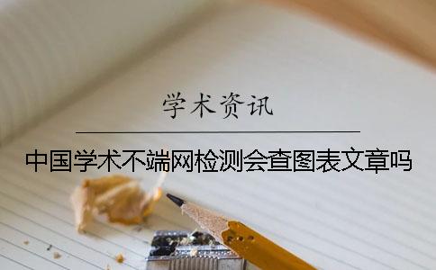中國學術不端網檢測會查圖表文章嗎